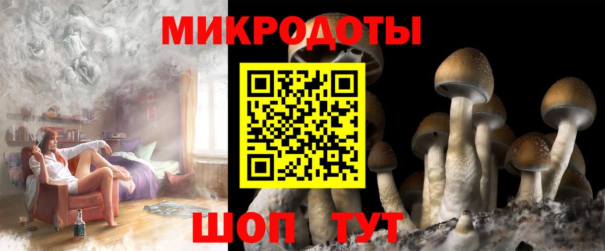 купить наркотик  Вход с VPN  Кулебаки  Псилоцибиновые грибы мухоморы 