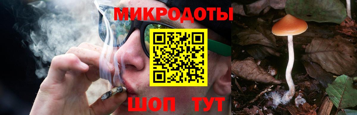 Псилоцибиновые грибы Magic Shrooms Кулебаки